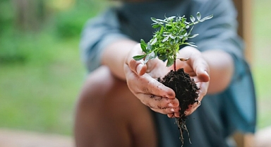 Schneider Electric, Sürdürülebilirlik Etki Programıyla 2024'ün İlk Çeyreğinde Dünyaya Değer Katmayı Sürdürdü 