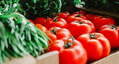 Sivas'ta Çöpten Enerjiyle Domates Üretimi: Örnek Proje