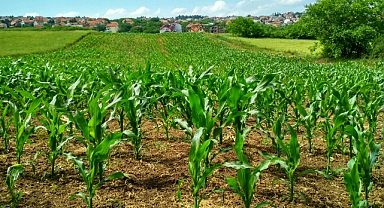 TBMM Çevre Komisyonunda İklim Değişikliği ve Tarım Üzerine Sunumlar