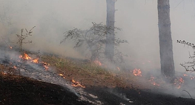 California'da orman yangını dumanından 10 yılda en az 52 bin kişi erken yaşta öldü