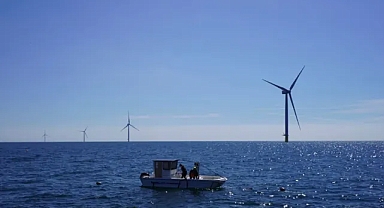 Danimarka yenilenebilir enerjinin yanında midye servis ediyor.