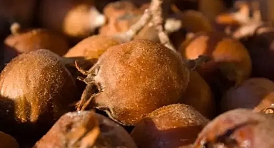 Günde 7 tane yiyince böbrekleri tertemiz yapıyor