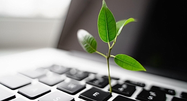 Sürdürülebilirlik kültürünüzü geliştirmenin 3 yolu: