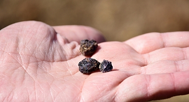 Temiz enerji talebi kritik minerallerin piyasa değerini de yükseltiyor