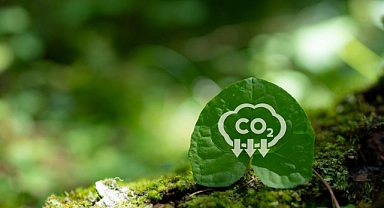 Yeni bir ilave model, karbon piyasalarını sürdürülebilir bir geleceğe yönlendirebilir