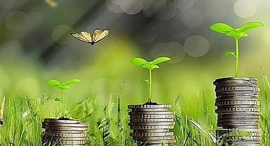 AB'nin iklim adımlarında 