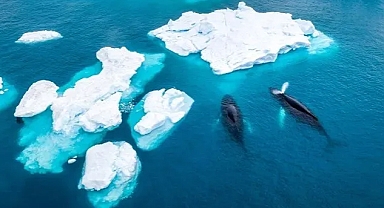 Araştırma: Buzul erimesi Dünya'nın dönüş hızını azalttı