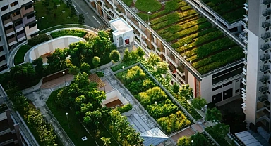 Avrupa, yeşil çatılarla şehirleri nasıl soğutuyor?