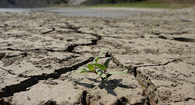 Batı Karadeniz'de mevsimsel kuraklık tarımsal üretim alışkanlığında değişim sinyali veriyor