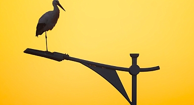 Genel aydınlatmada kullanılan 140 bin LED armatürle 82 milyon lira tasarruf yapıldı