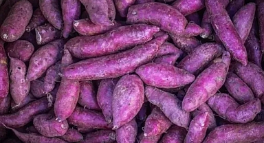 Japonların uzun yaşam sırrı keşfedildi: Yiyen 100 yaşını görmeden ölmüyor!