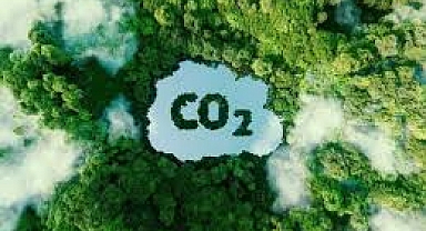 Schneider Electric, Paris 2024 Olimpiyat Oyunları’nı Karbon Nötr Hale Getirilmesine Destek Oluyor