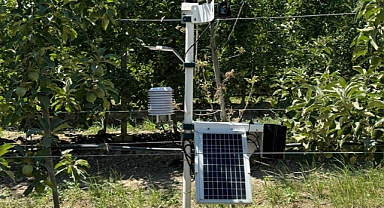 Tarladaki ürünlere yapay zekalı sistemle takip