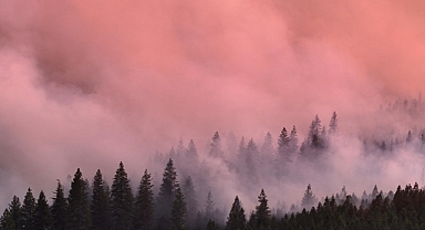 ABD'nin California eyaletindeki yangının etkilediği alanın Los Angeles'tan büyük olduğu belirlendi