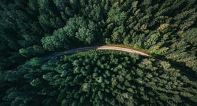 Dünya Aşım Günü: İnsanlık gezegenin yıllık kaynaklarını 7 ayda tüketiyor