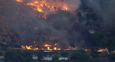 İklim değişikliği aşırı orman yangını olasılığını üç katına çıkarırken 'toplum ve çevre zarar görüyor'