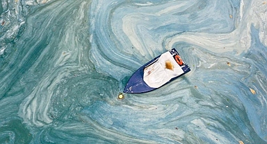 İtalya'nın Adriyatik kıyısında müsilaj sorunu ortaya çıktı