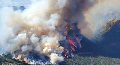 Kanada'da geçen yıl çıkan orman yangınları çoğu ülkeden daha fazla karbon salımına yol açtı