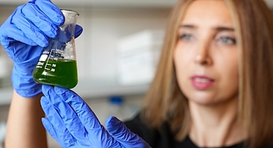 Karbon yakalayan mikroorganizmalar iklim hedeflerine ulaşmaya yardımcı olabilir.