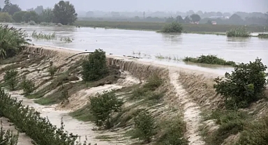 AB, ölümcül sellerin ve orman yangınlarının 'iklim çöküşünün' hızla norm haline geldiğinin işaretleri olduğu konusunda uyarıyor