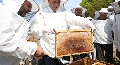 Bozcaada'nın mor kekik tarlalarında üretilen 