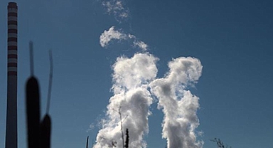 Dünyadaki metan salımının yaklaşık 3'te 2'si insan aktivitelerinden kaynaklanıyor