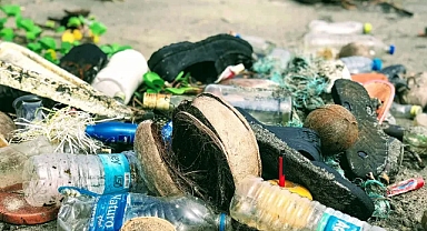 İnsanların %72'si ekolojik soykırımın bir suç olması gerektiğine inanıyor. Yeni bir AB direktifi bir fark yaratabilir mi?