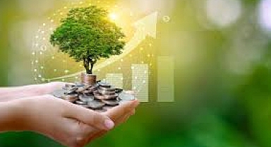 Rönesans Enerji  Yeşil Finansman Çerçevesi’ni yayınladı