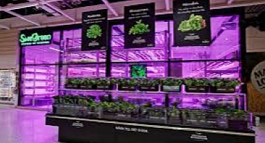 SweGreen ile tanışın: Bu İsveçli dikey çiftlik girişimi süpermarketlerin içinde sebze yetiştiriyor