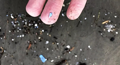 Yapılan yeni bir araştırma, günlük hayatta kullandığımız plastiklerin beyne nüfuz etme yeteneğine sahip olduğunu ortaya koydu.