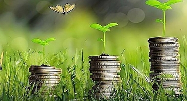 Yeşil kapitalizm: İklim değişikliğinin çözümü mü, gelir getiren yeni aldatmaca mı?