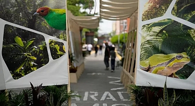 6 Avrupa ülkesi biyolojik çeşitliliği korumak için 130 milyon avro taahhütte bulundu