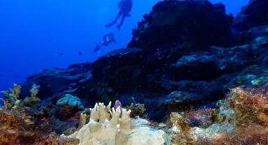 Bilim insanları, Dünya'nın dönüm noktasında olduğu bir dönemde fosil yakıtların azaltılması gerektiğini söylüyor