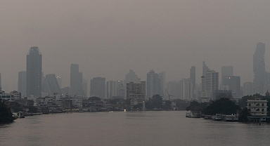 Hava kirliliği meme kanseri vakalarında artışa neden oluyor