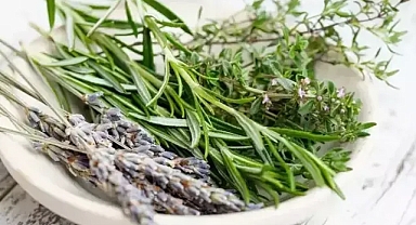 Bu 2 bitki kanseri ve tümörü küçültüyor!