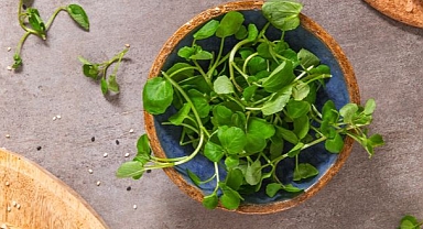 Dünyanın en sağlıklı sebzesi seçildi!