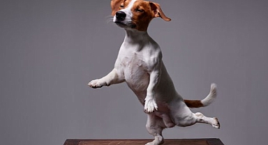 Ne kadar iyi yaşlandığınızı görmek için tek bacak üzerinde durun!