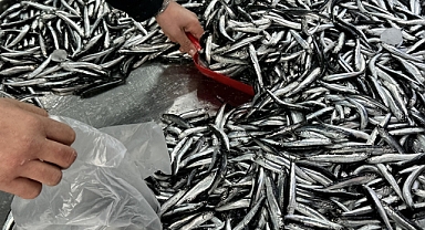 Sürdürülebilir balıkçılık için 