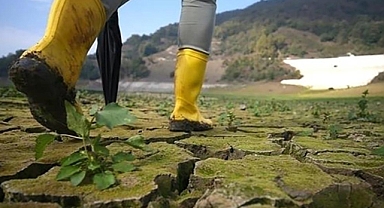 Uzmanlar Türkiye'nin Uzun Dönem İklim Yol Haritası'nı değerlendirdi