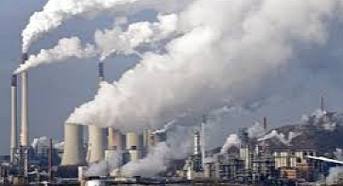 Yeni rekabet şirketleri karbon giderimine yatırım yapmaya itiyor