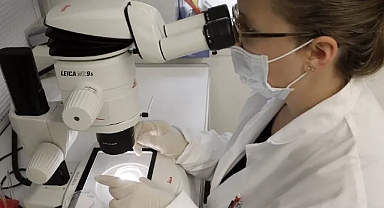 2024'te Sağlık: Bu yıl bize umut veren en büyük tıbbi atılımlar ve araştırmalar