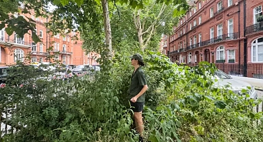 'Cep ormanları' şehirlerdeki hava kirliliğine çözüm olabilir mi?