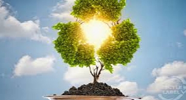 Çevreyi korumaya geçen yıl 224,6 milyar lira harcandı