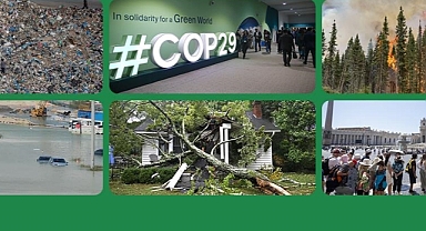 Dünyada çevre alanında 2024 böyle geçti