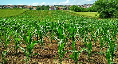 İklimden 2024'te bazı iyi haberler