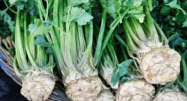 Tadını kimse sevmiyor ama tam bir şifa deposu! A, K ve C vitamini içeriyor: Sindirim sistemini makine gibi çalıştırıyor