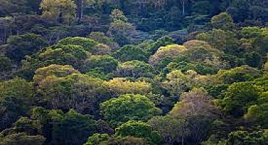 Dünya Ekonomik Forumu'nun 55. yıllık toplantısında öne çıkan 3 iklim başlığı nelerdi?