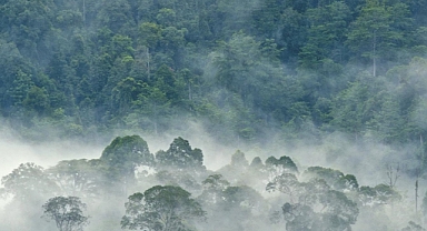 Karbon muhasebesindeki yanlışlar 1,5 derece hedefinden sapmaya neden olabilir