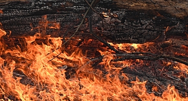 Los Angeles'taki orman yangınında can kaybı 5'e yükseldi