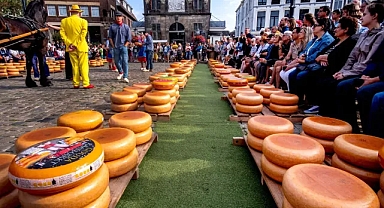 Elveda Gouda ve elveda Fransız hardalı: İklimsel yok olma tehlikesiyle karşı karşıya olan imza yiyecekler